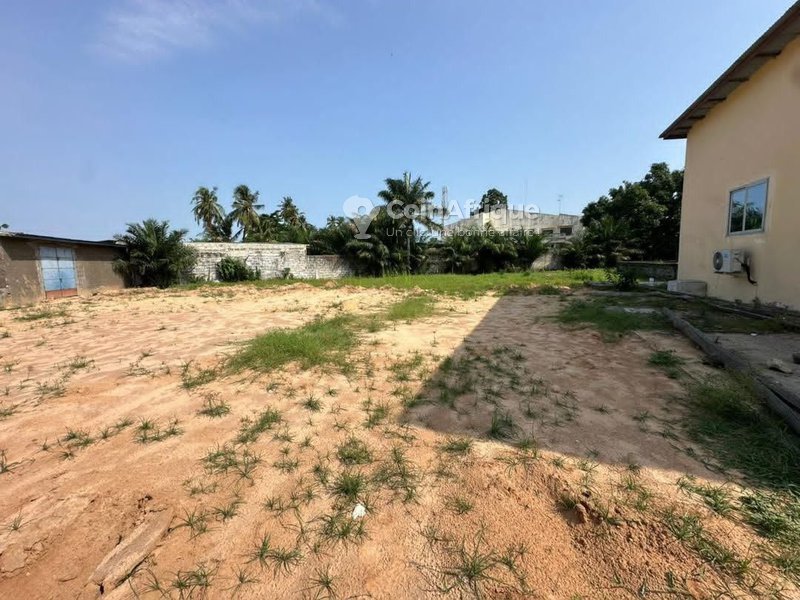 Terrain exceptionnel de 3412m² avec titre foncier personnel et revenus locatifs