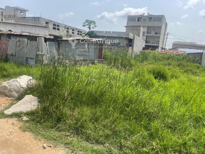 Terrain constructible idéal pour projet immobilier avec grande superficie et emplacement stratégique