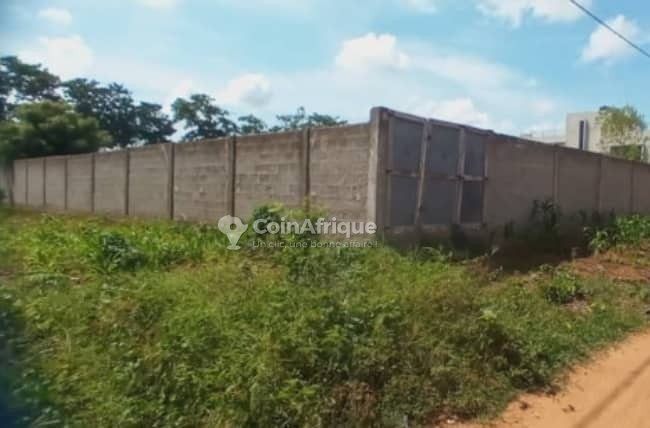 Terrain clôturé de 502 m² avec titre foncier et levé topographique