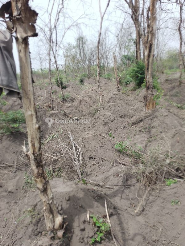 Terrain exceptionnel de 100 hectares avec documents légaux et accès facile