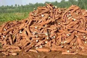 Terrain exceptionnel de 20 hectares avec accès direct à une grande voie