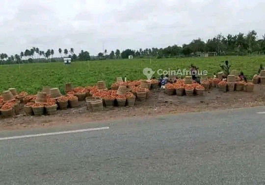 Terrain exceptionnel de 20 hectares avec accès direct à une grande voie