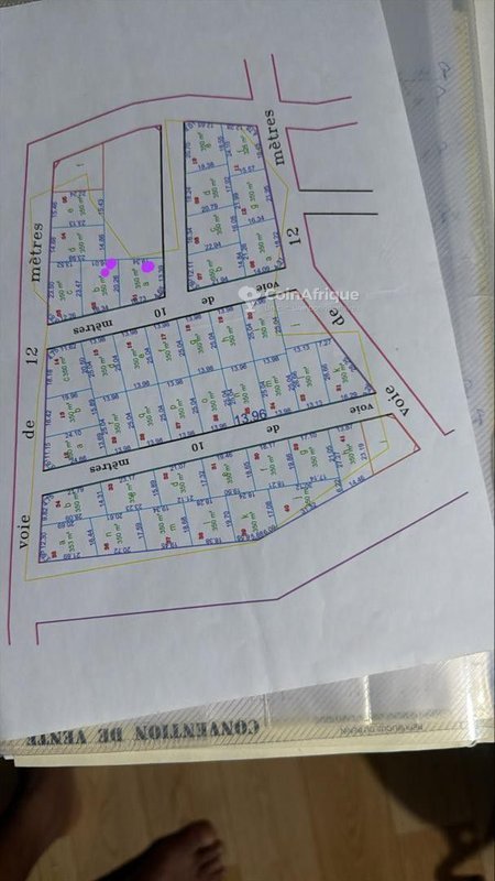 Terrain spacieux de 350m² avec titre foncier – Opportunité exceptionnelle