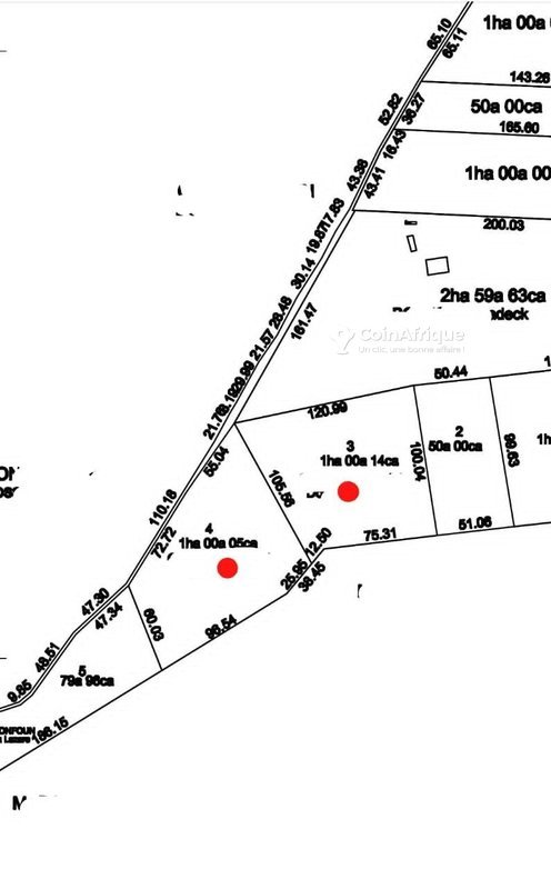 Terrain spacieux de 2 hectares avec titre foncier sécurisé