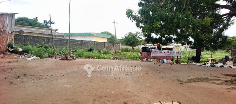 Terrain nu de 600 m² - Idéal pour tout type de projet immobilier