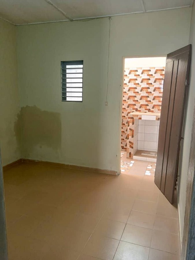Appartement 1 pièce avec terrasse et accès véhicules