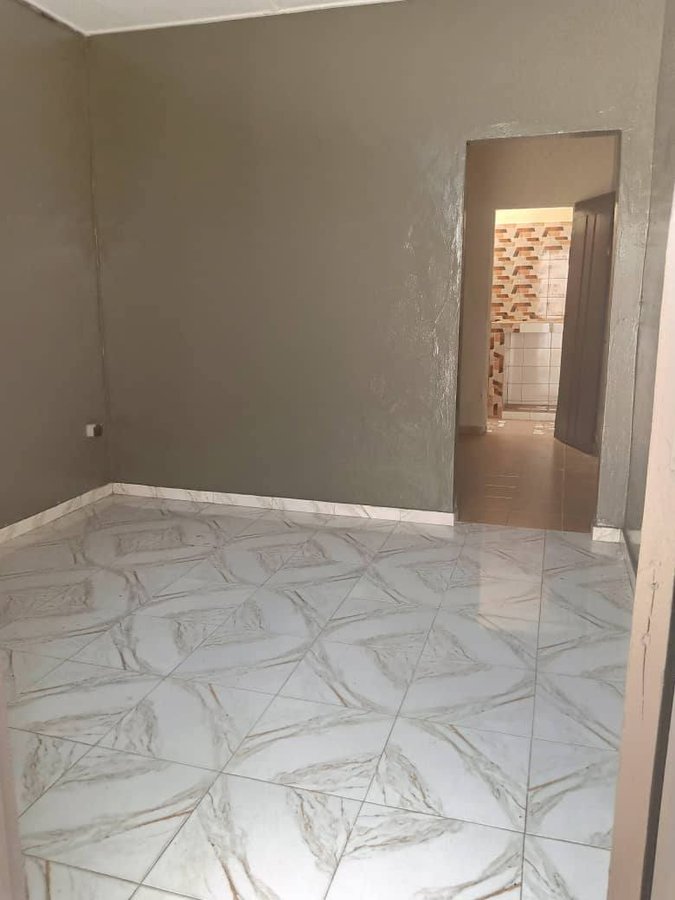 Appartement 1 pièce avec terrasse et accès véhicules