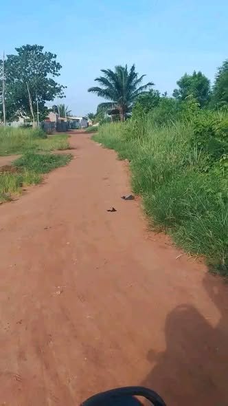 Terrain constructible de 2000 m² idéal pour projets résidentiels ou commerciaux