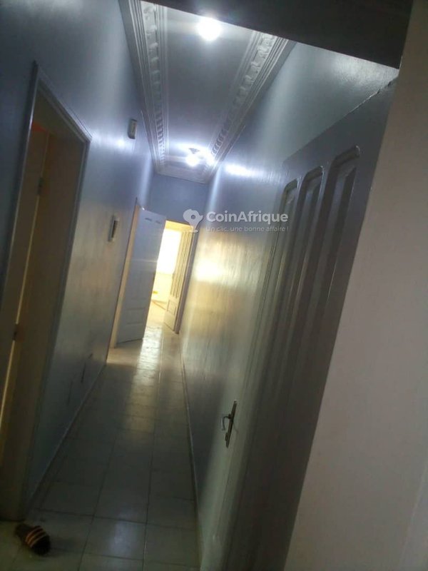 Villa spacieuse de 3 pièces avec terrasse et paillote en location