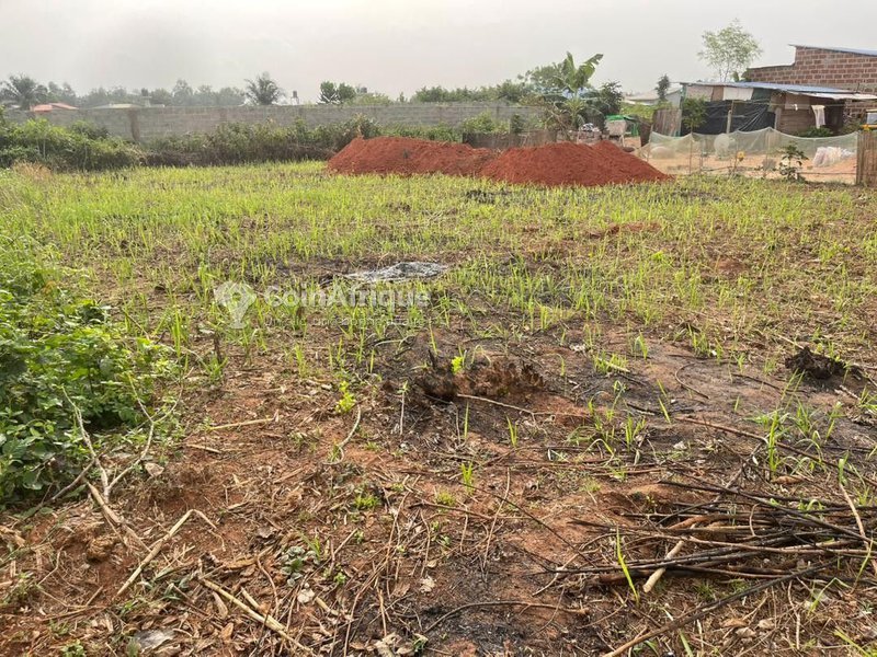 Terrain viabilisé à proximité immédiate d'un établissement scolaire et du goudron avec électricité disponible