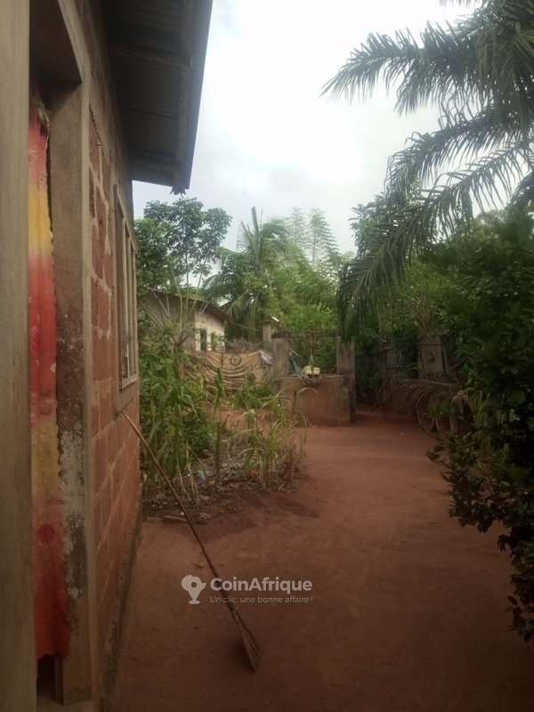 Terrain constructible viabilisé avec puits et espaces disponibles