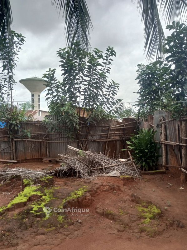 Terrain constructible viabilisé avec puits et espaces disponibles