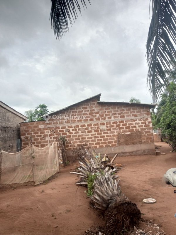 Terrain constructible viabilisé avec puits et espaces disponibles