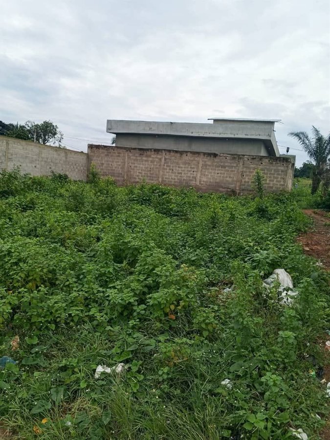 Terrain spacieux de 350m² avec titre foncier global et accès facile