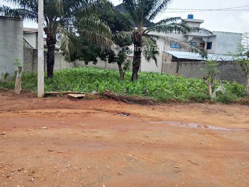 Terrain à vendre avec titre foncier - 375 m²