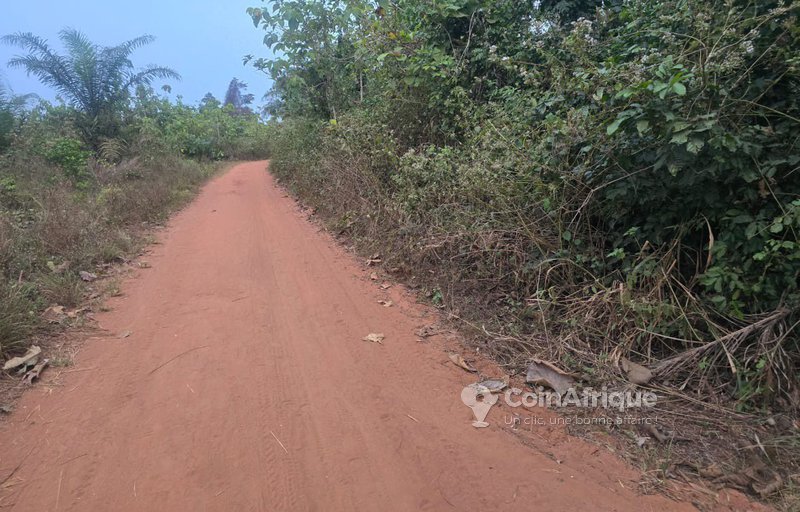 Terrain exceptionnel de plus de 3 hectares avec teckeraie et titre foncier personnel