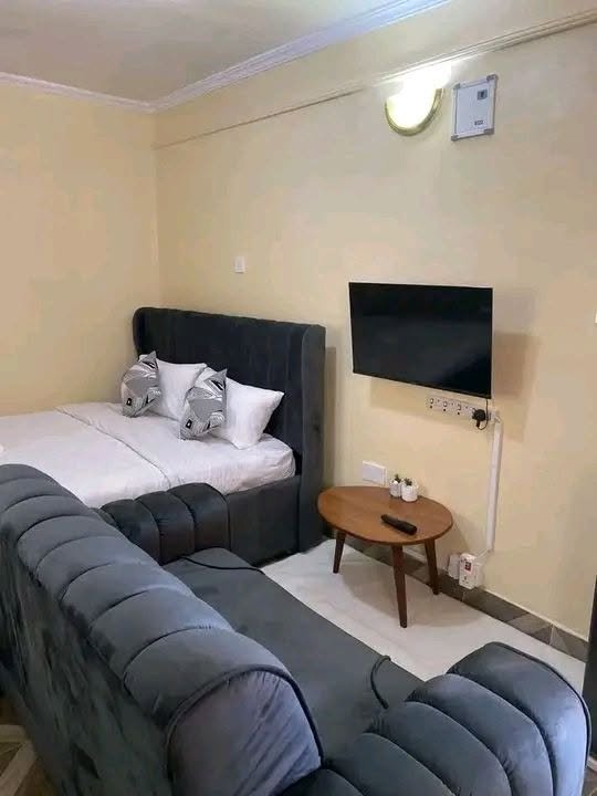 Appartement meublé d'une pièce avec climatisation et entrée personnelle