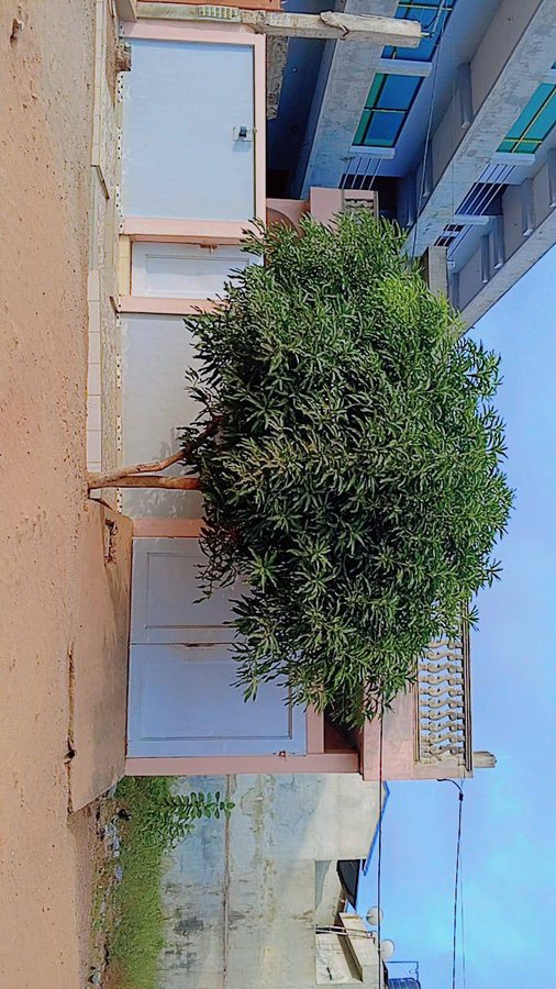 Villa luxueuse de 6 pièces avec terrasse couverte et garage intégré en parcelle d'angle