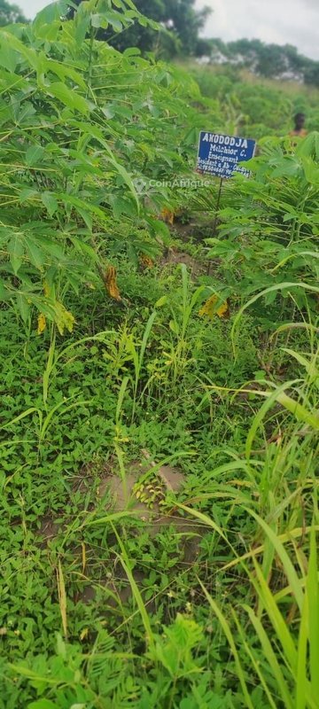 Terrain à vendre avec opportunité de transaction immédiate