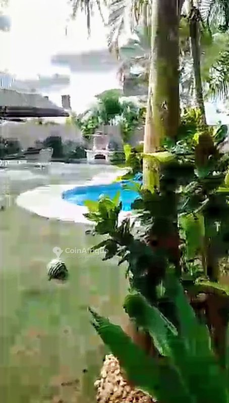 Villa luxueuse de 6 pièces avec piscine et jardin