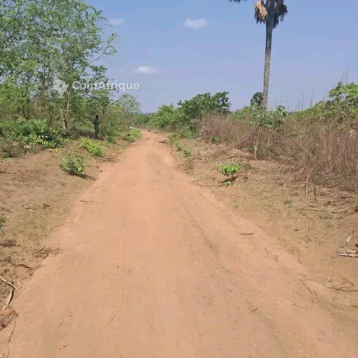 Terrain de 48 hectares avec titre foncier et possibilité de morcellement
