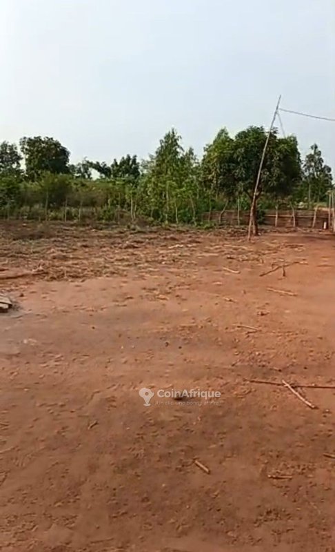 Terrain constructible de 1042 m² à proximité immédiate d'une école et du goudron