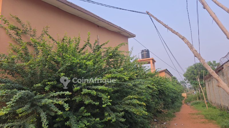 Ensemble locatif de 12 pièces avec studios indépendants, garages et titre foncier