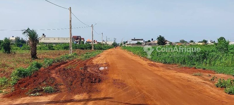 Terrain en angle de rue avec titre foncier personnel - 380 m²