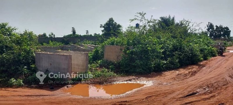 Terrain en angle de rue avec titre foncier personnel - 380 m²