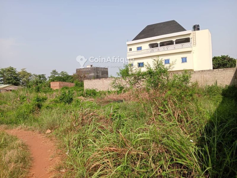 Terrain exceptionnel de 2000 m² avec titre foncier global et accès à deux voies de 12 mètres