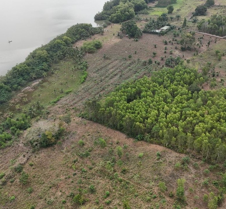 Propriété exceptionnelle en bord de lac avec cocoteraie et forêt d'eucalyptus entretenue