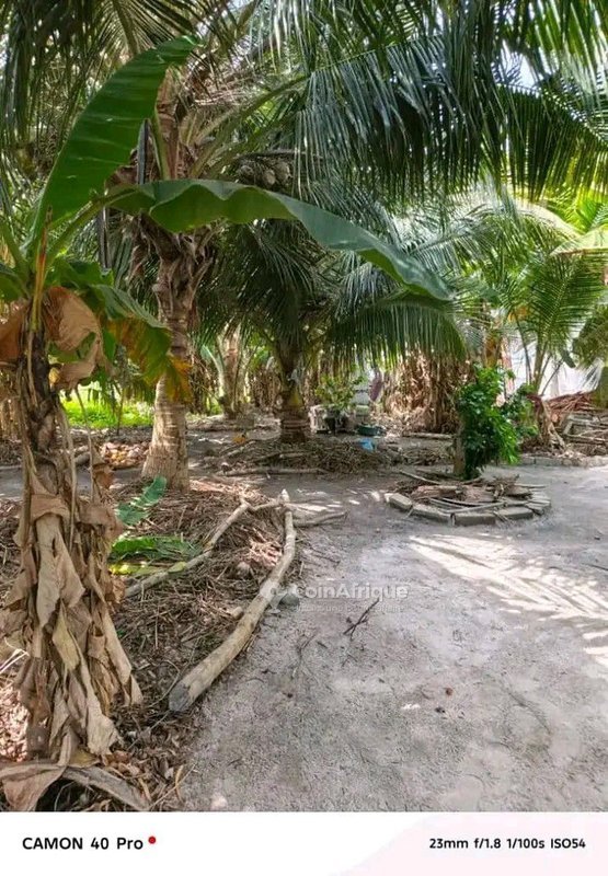 Terrain constructible de 457 m² avec électricité et école à proximité