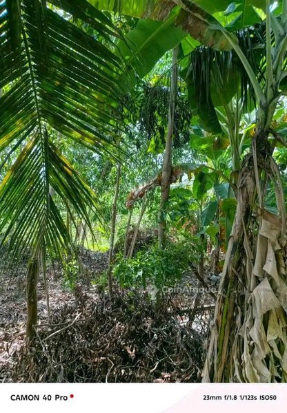 Terrain constructible de 457 m² avec électricité et école à proximité