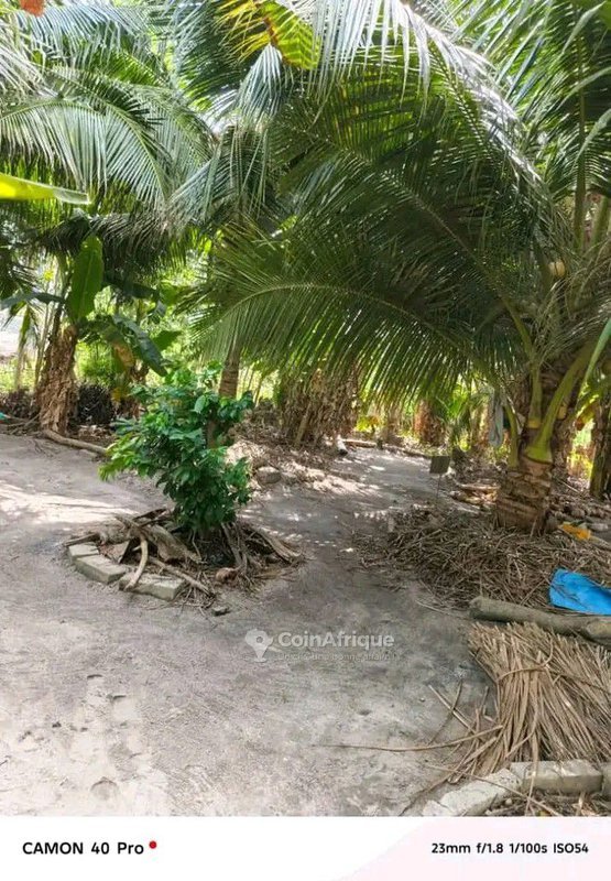 Terrain constructible de 457 m² avec électricité et école à proximité