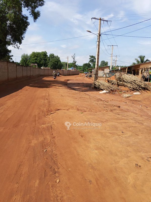 Terrain viabilisé et électrifié avec titre foncier sécurisé - Parcelle de 350 m²