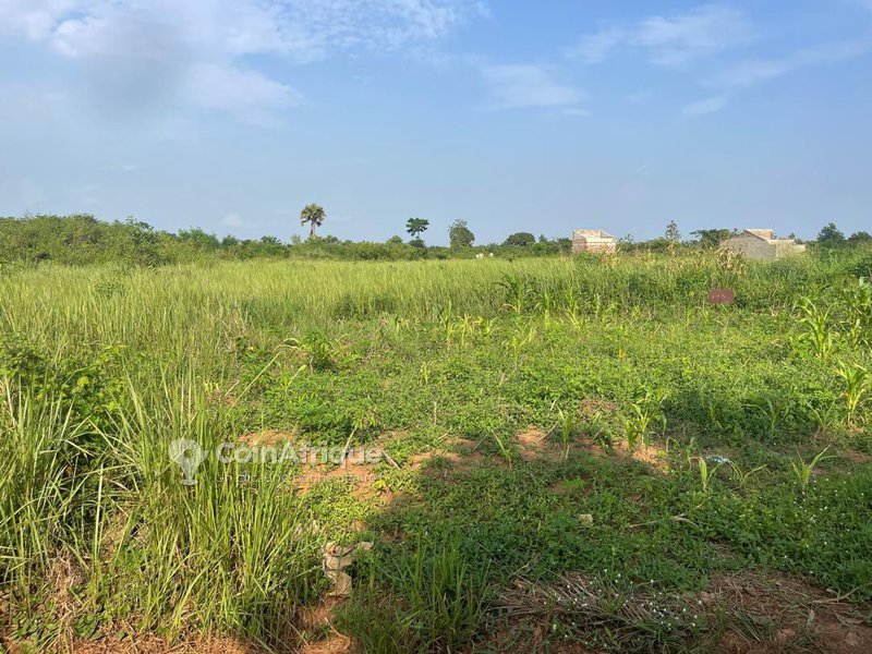 Terrain de 500 m² avec paiement échelonné et plaque d'identification offerte