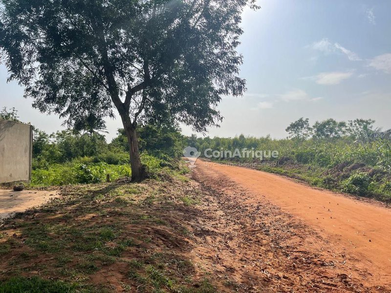 Terrain de 500 m² avec paiement échelonné et plaque d'identification offerte