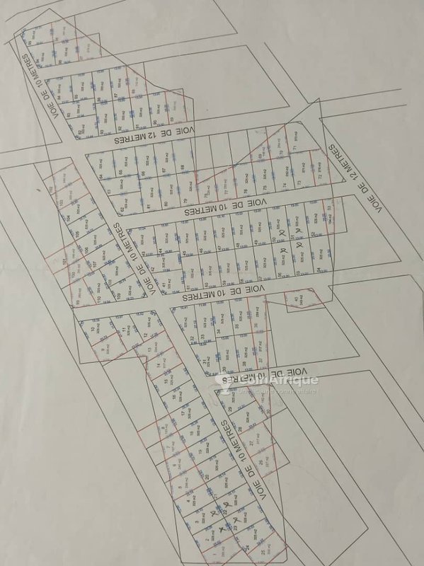 Terrain sécurisé de 350 m² avec titre foncier global et voies aménagées