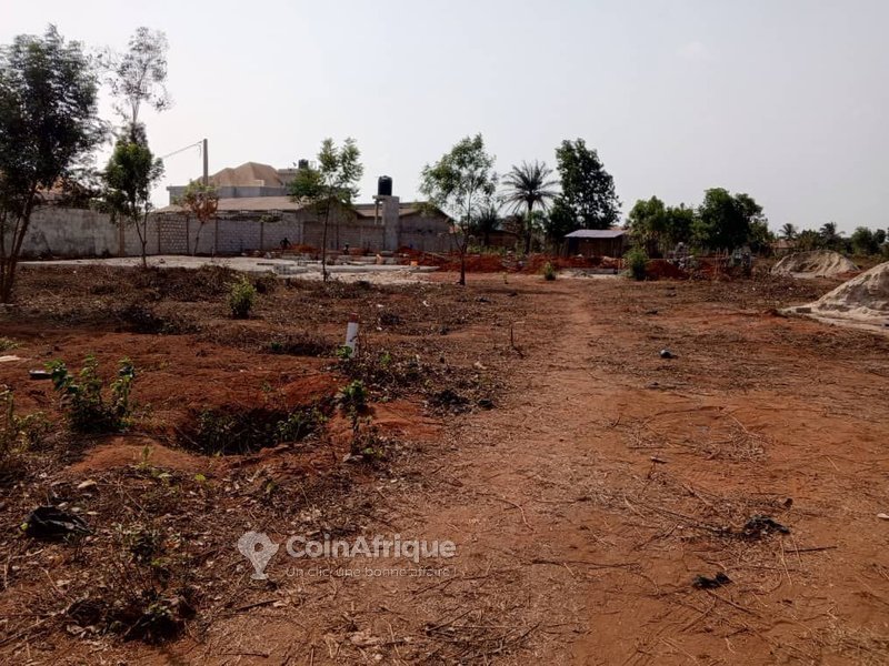 Terrain viabilisé de 350 m² avec titre foncier sécurisé – Idéal pour investissement ou construction