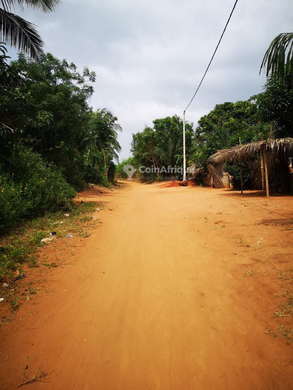 Terrain exceptionnel composé de 20 parcelles viabilisées à vendre