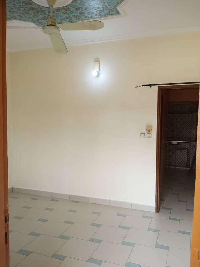 Appartement 1 pièce staffé avec sanitaire dallé et accès véhicule