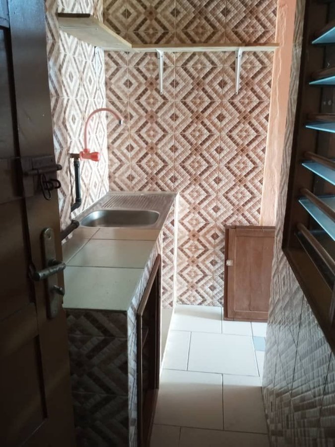Appartement 1 pièce staffé avec sanitaire dallé et accès véhicule