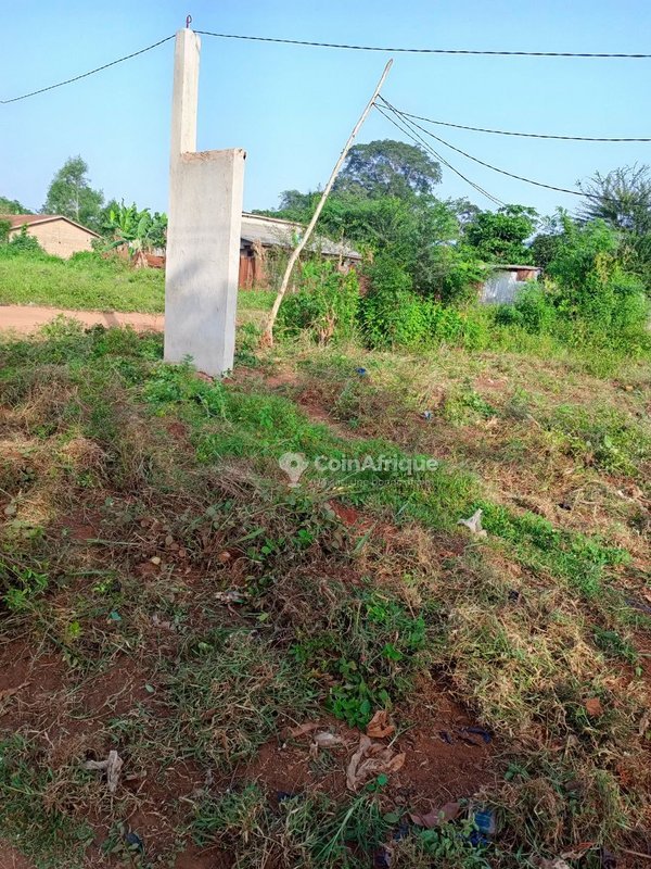 Terrain constructible de 419 m² avec cadre sécurisé et électrification