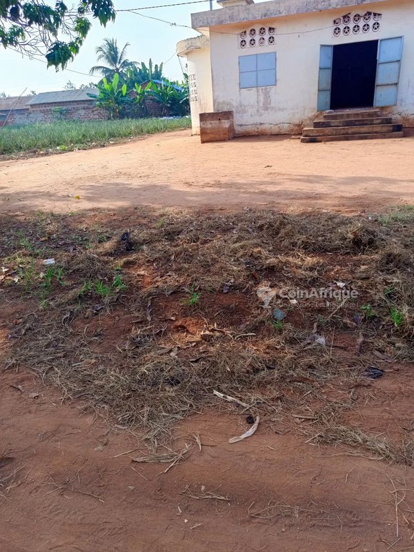 Terrain constructible de 419 m² avec cadre sécurisé et électrification