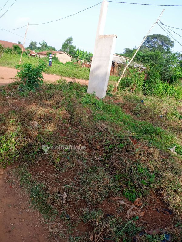 Terrain constructible de 419 m² avec cadre sécurisé et électrification