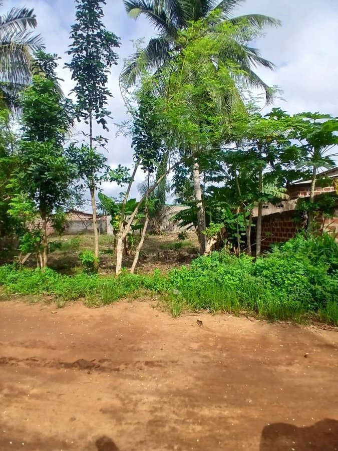 Terrain à vendre avec documents complets et emplacement stratégique près du goudron