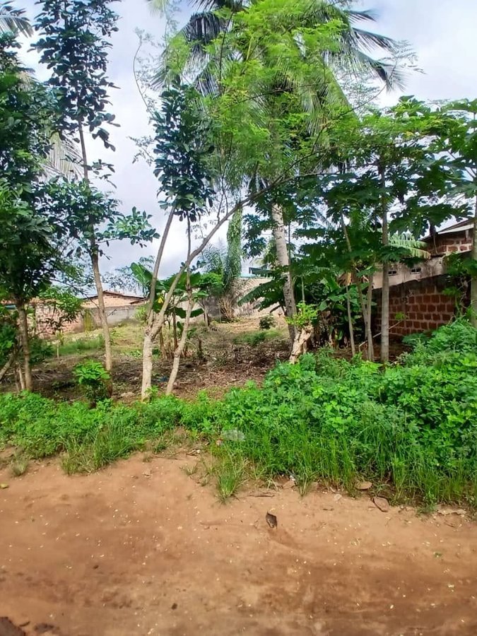 Terrain à vendre avec documents complets et emplacement stratégique près du goudron