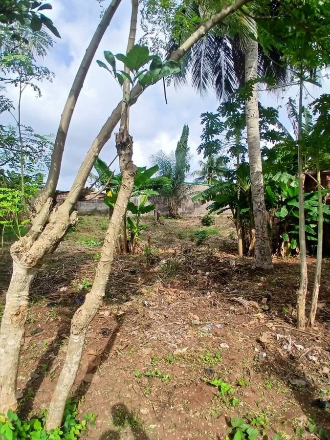 Terrain à vendre avec documents complets et emplacement stratégique près du goudron
