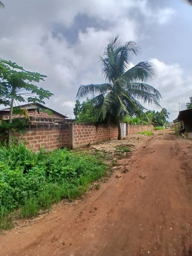 Terrain à vendre avec documents complets et emplacement stratégique près du goudron