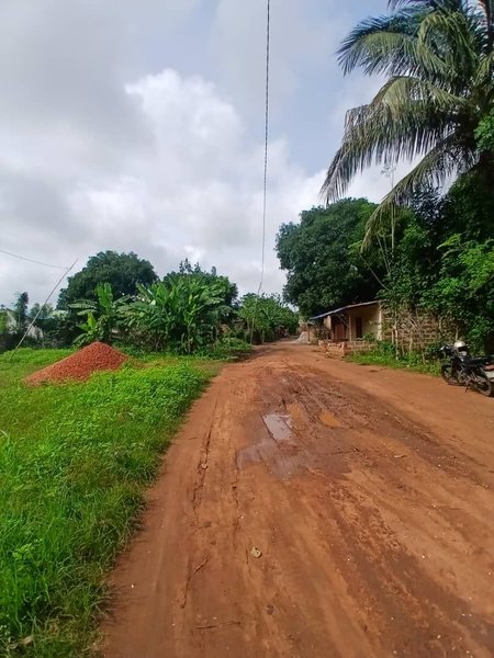 Terrain à vendre avec documents complets et emplacement stratégique près du goudron